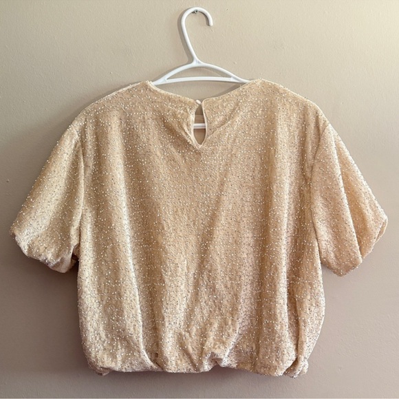 Zara Cream Sequin Beaded Velvet Bubble Cropped Blouse - Picture 10 of 16
